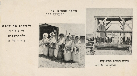 בארי, 1950